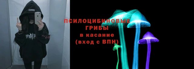 Альфа ПВП Абаза