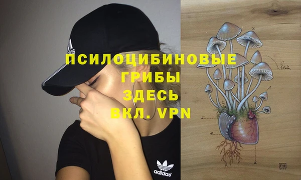 Альфа ПВП Абаза