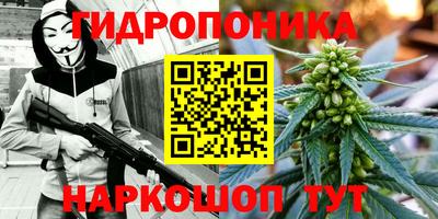 гидра Новокубанск