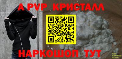 стаф Новодвинск