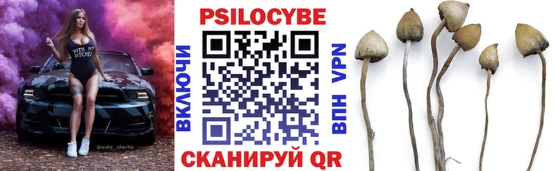 Галлюциногенные грибы мицелий  закладка  Хабаровск 