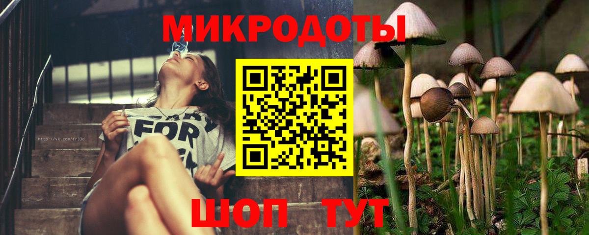 Псилоцибиновые грибы Psilocybine cubensis  Вход с VPN  Хабаровск 